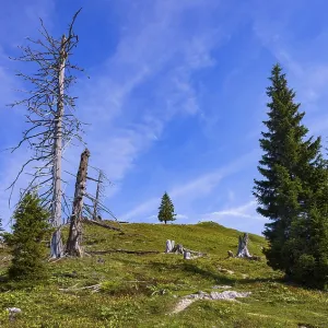 Hiking trail to the summit of the Taborberg Hiking trail to the summit of the Taborberg