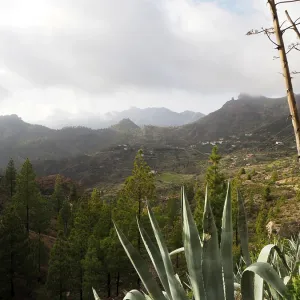 Hilly landscape with lush vegetation and cloudy sky Hilly landscape with lush vegetation and cloudy sky