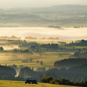 Hilly landscape with morning fog