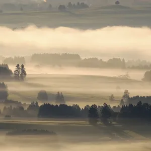 Hilly landscape with morning fog Hilly landscape with morning fog
