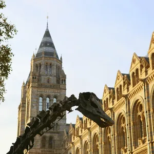 Edificio histórico con impresionante torre y esqueleto de dinosaurio en primer plano bajo un sol radiante, Londres, Gran Bretaña.