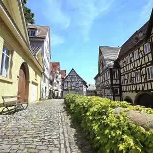 Rue historique avec maisons à colombages.