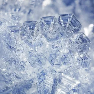 Hoar frost crystals