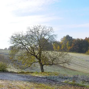 Hoarfrost landscape near Schmie Hoarfrost landscape near Schmie