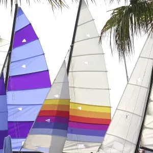 Hoby hobby cat colorful sails palm tree leaf summer sport vacation Hoby hobby cat colorful sails palm tree leaf summer sport vacation