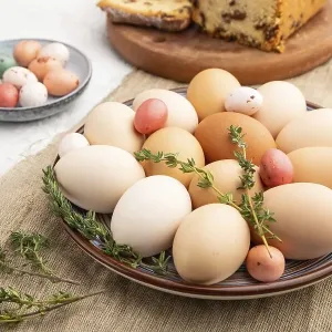 Homemade easter colored eggs on plate and raisins cake on a gray concrete background and linen textile