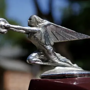 Hood ornament of a 1936 Packard at at Classic Car Show in Belvidere