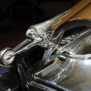 Hood ornament of a vintage car Hood ornament of a vintage car