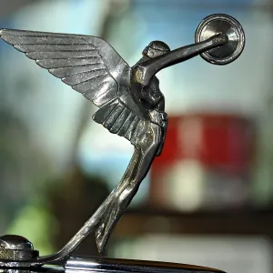 Hood ornament on a vintage Vanden Plas Princess