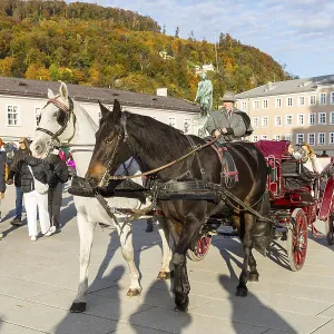 Les Calèches Chevaux au Mozartplatz, Salzbourg, Autriche.