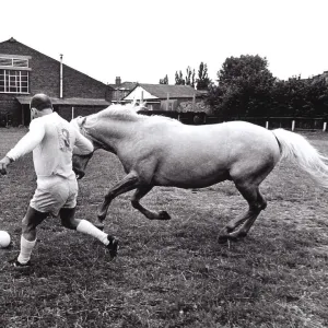 Horse and man at football, England, Great Britain