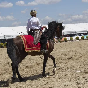 Horseman archer riding in ethnic clothes on horseback Horseman archer riding in ethnic clothes on horseback