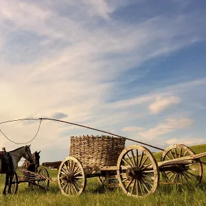 Horses and the horse cart in Mongolian grassland Horses and the horse cart in Mongolian grassland