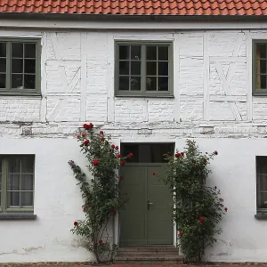 House Façade in Wismar Print, Germany