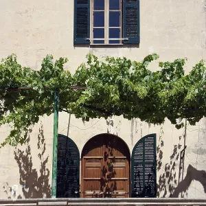 House in Majorca Print (imageBROKER) House in Majorca Print (imageBROKER)