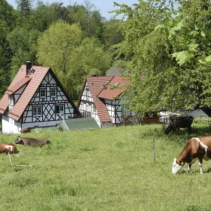 House, Sasbachwalden, Black Forest House, Sasbachwalden, Black Forest