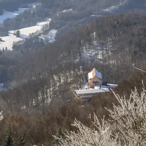 House standing in the middle of a forest in winter