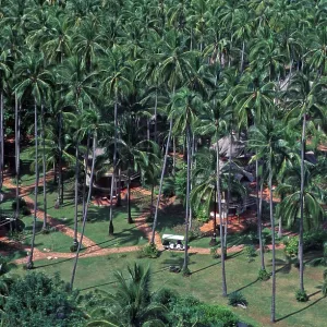 Houses, palm trees, view of holiday complex from the viewpoint Houses, palm trees, view of holiday complex from the viewpoint