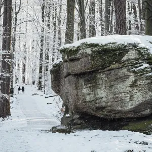 A huge rock by the trail in the National Park