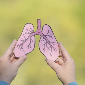 Human lung in front of forest, trees for fresh healthy breathing air Human lung in front of forest, trees for fresh healthy breathing air