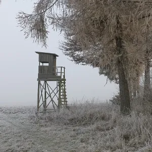 Hunter's blind at the edge of the forest in morning fog