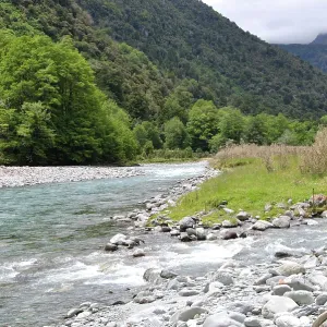 ibxwbk11357478
