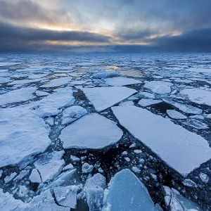 Ice Field in the Sea, East Coast Greenland Print