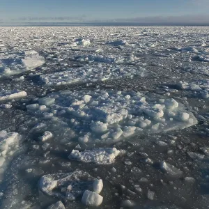 Ice floes, pack ice, Arctic Ocean Ice floes, pack ice, Arctic Ocean