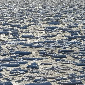 Ice floes, pack ice, Arctic Ocean Ice floes, pack ice, Arctic Ocean