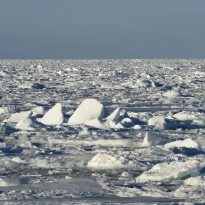 Ice floes stacking up, pack ice Ice floes stacking up, pack ice