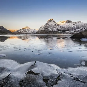 Ice on the shore of the fjord, Flakstadpollen Ice on the shore of the fjord, Flakstadpollen