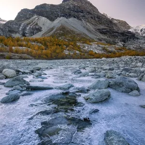 Ice structures on mountain stream with autumnal larches and mountain views