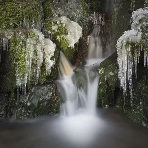 Icicles in creek, Bergpark Wilhelmshoehe Icicles in creek, Bergpark Wilhelmshoehe