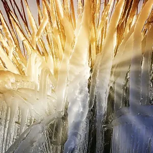 Icicles on the river, Lahn, Wetzlar Icicles on the river, Lahn, Wetzlar