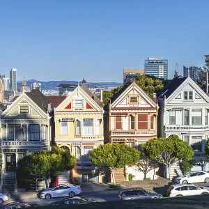 The Painted Ladies Victorian Houses Print, San Francisco
