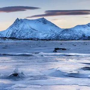 Icy coast on dusk, Gimsoy, Lofoten, Norway, Europe