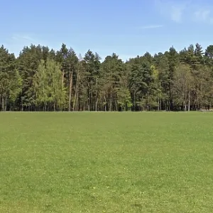 Ideal spring panoramic landscape