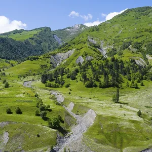 Idyllic hilly landscape with forest and meadows