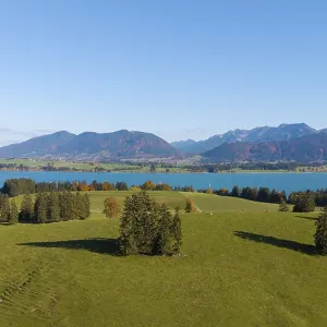Idyllic landscape with Forggensee