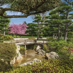 Idyllic landscape of Japanese garden Idyllic landscape of Japanese garden