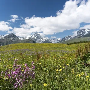 Idyllic mountain landscape in the summertime in the Swiss Alps