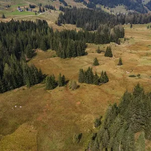 Illingeralm, Osterhorn group, Salzkammergut