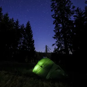 Illuminated green tent at the edge of the forest