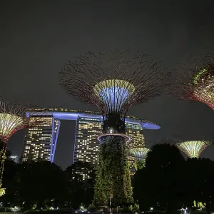 Illuminated Supertrees and Marina Bay Sands at night