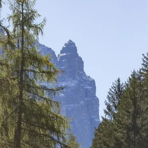 Ilmspitze mountain with forest in autumn