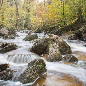 Ilsetal valley in autumn, near Ilsenburg