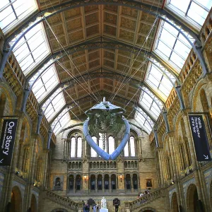 Interior impresionante de un edificio histórico con exposición de esqueletos y estructura de techo elaborada, Londres, Gran Bretaña
