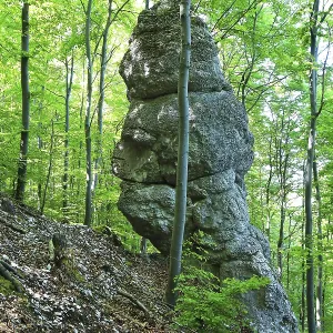 Piedra impresionante en un bosque verde denso. Piedra impresionante en un bosque verde denso.