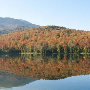 Indian summer, foliage in autumn