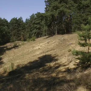 Inland dune Inland dune